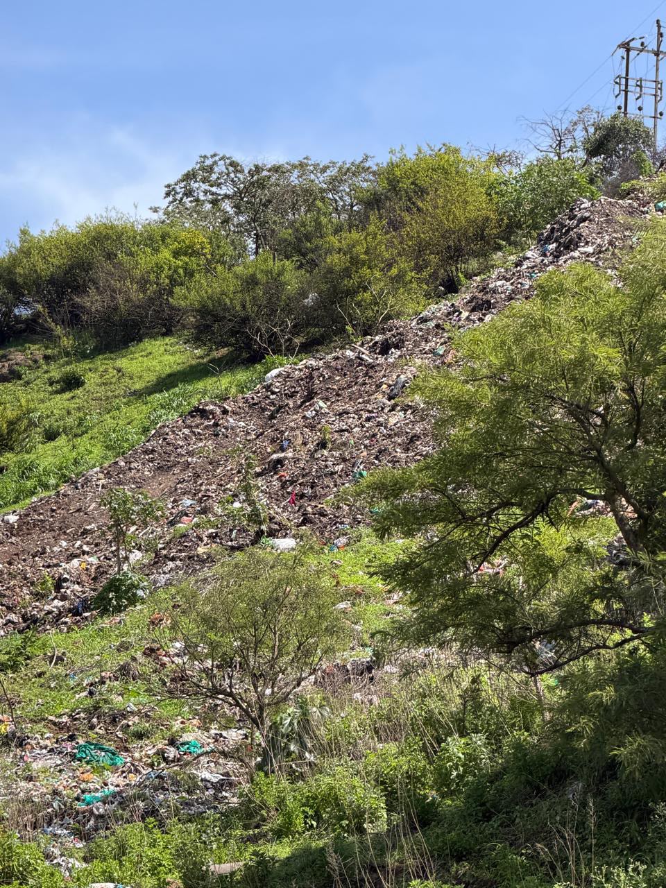पाचगणीतील कचरा प्रकरणाने स्वच्छता ठेकेदाराच्या कामावर प्रश्नचिन्ह; करारातील जबाबदाऱ्या पाळल्या का?